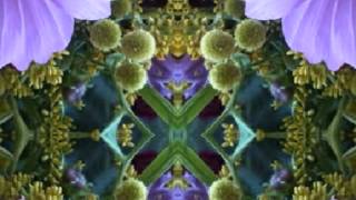 Preachin&#39; To The Choir (by Rodney Crowell live in Dublin in 2004)