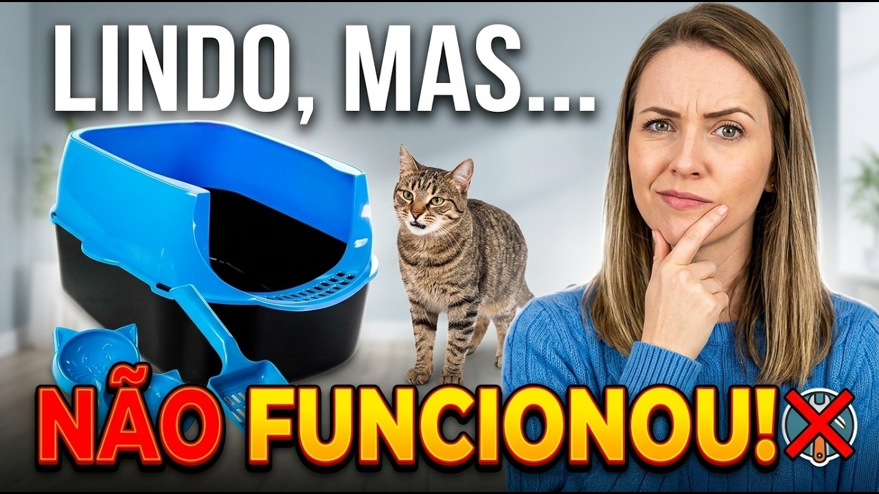 TESTEI NOVA CAIXA DE AREIA PARA GATOS - Gatil Hauser