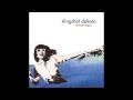 Slingshot Dakota - A Glance Backwards and Forwards