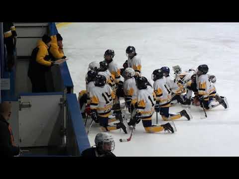 Prešov Penguins - HC Košice 1 : 8