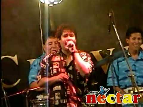 TRISTE ES TU FINAL   EL GRUPO NECTAR