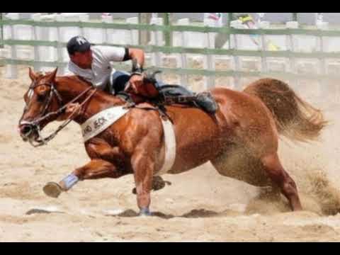 # BAÚ  SÓ VAQUEJADA # ANTIGAS #