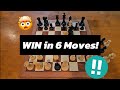 WIN In Only 6 Moves With This SIMPLE Chess Trap