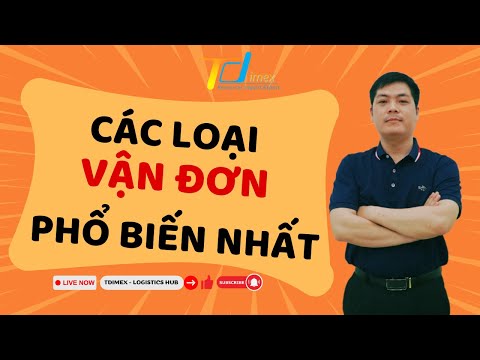 Conhecimento de embarque (PHẦN 2): PHÂN LOẠI VẬN ĐƠN