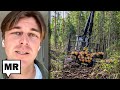 The Ikea Effect How The Furniture Giant S Demand Impacts Romania S Old Growth Forests Alex Sammon