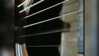 Download lagu INTRO SEMUA TENTANG KITA - COVER GITAR- STORY WA mp3