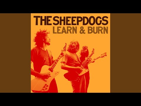 Baby I Wont Do You No Harm - The Sheepdogs