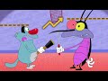 हिंदी Oggy And The Cockroaches रूपान्तरण Hindi Cartoons For Kids