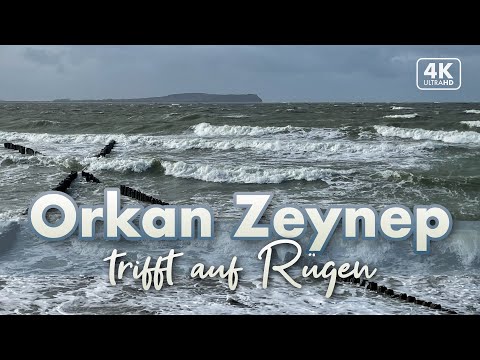 Orkan Zeynep trifft auf die Insel Rügen - Dranske 2022 (4K Walk)