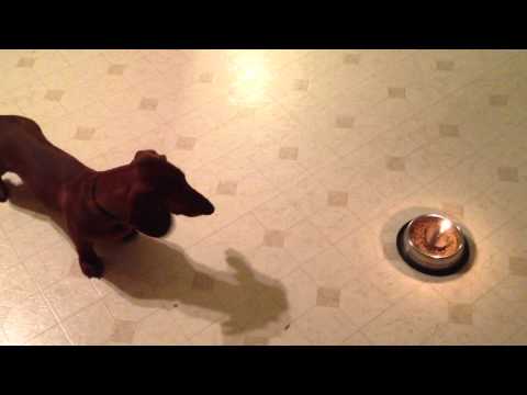 Happy Birthday Vinnie