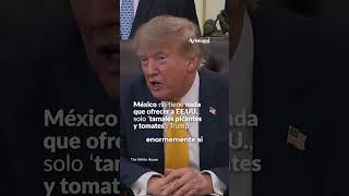 México no tiene nada que ofrecer a EE.UU., solo ‘tamales picantes y to