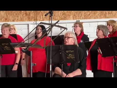 “ The lions sleeps tonight“ von Pau Simon | Konzert 02.07.2022