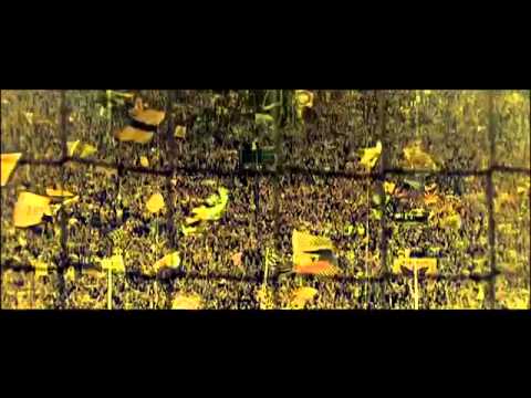 BVB Adrenalin Pur
