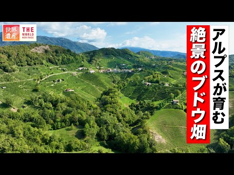 地中海の庭園 – イタリアの屋外デザインの 10 のヒント  庭園