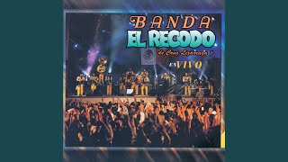 Te Sigo Amando (En Vivo)