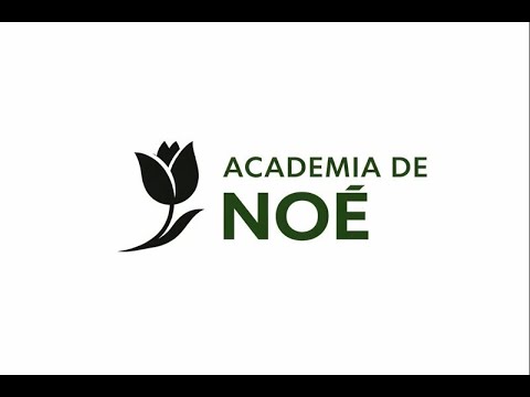 Oração da Manhã para as Nações - 11/03/2026