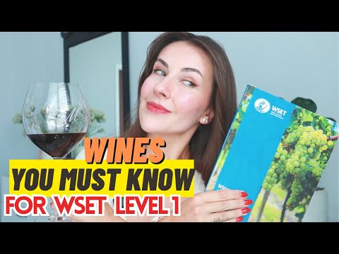 Wines You NEED to Try for WSET Level 1 | Must-Know Styles!