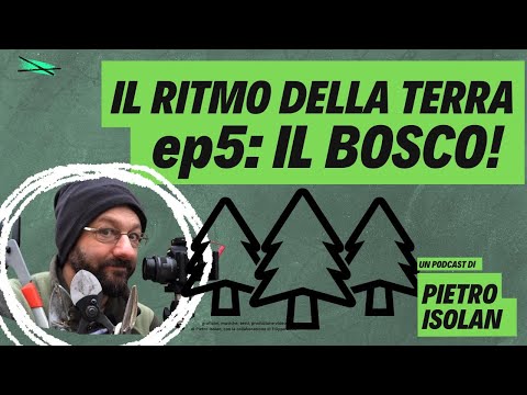 IL BOSCO - il ritmo della terra, coltivare è pop! - ep 5