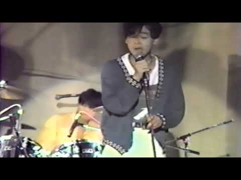 Rain Girls & Gentle Girls / The Korova Milk Bar