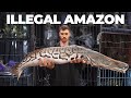 Inside the World's Largest Illegal Exotic Animal Market... (Tour) DEFAULT Thumbnail