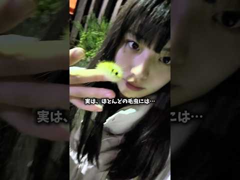 ⁡日本にいる毛虫のうち、有毒種はたった数%！⁡⁡だけど危険な毛虫もいるから触らないでね。⁡⁡#リンゴドクガ #スジモンヒトリ⁡