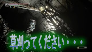 これはもう草が本体ですわー【ダークソウル３実況#17】