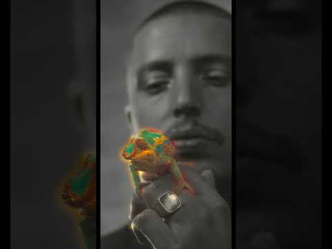 FOGG - HORN (Official Music Video)