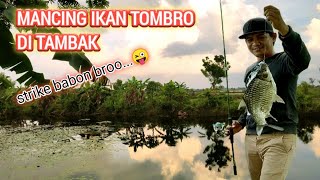 Download lagu Mancing Ikan Tombro Di Tambak mp3