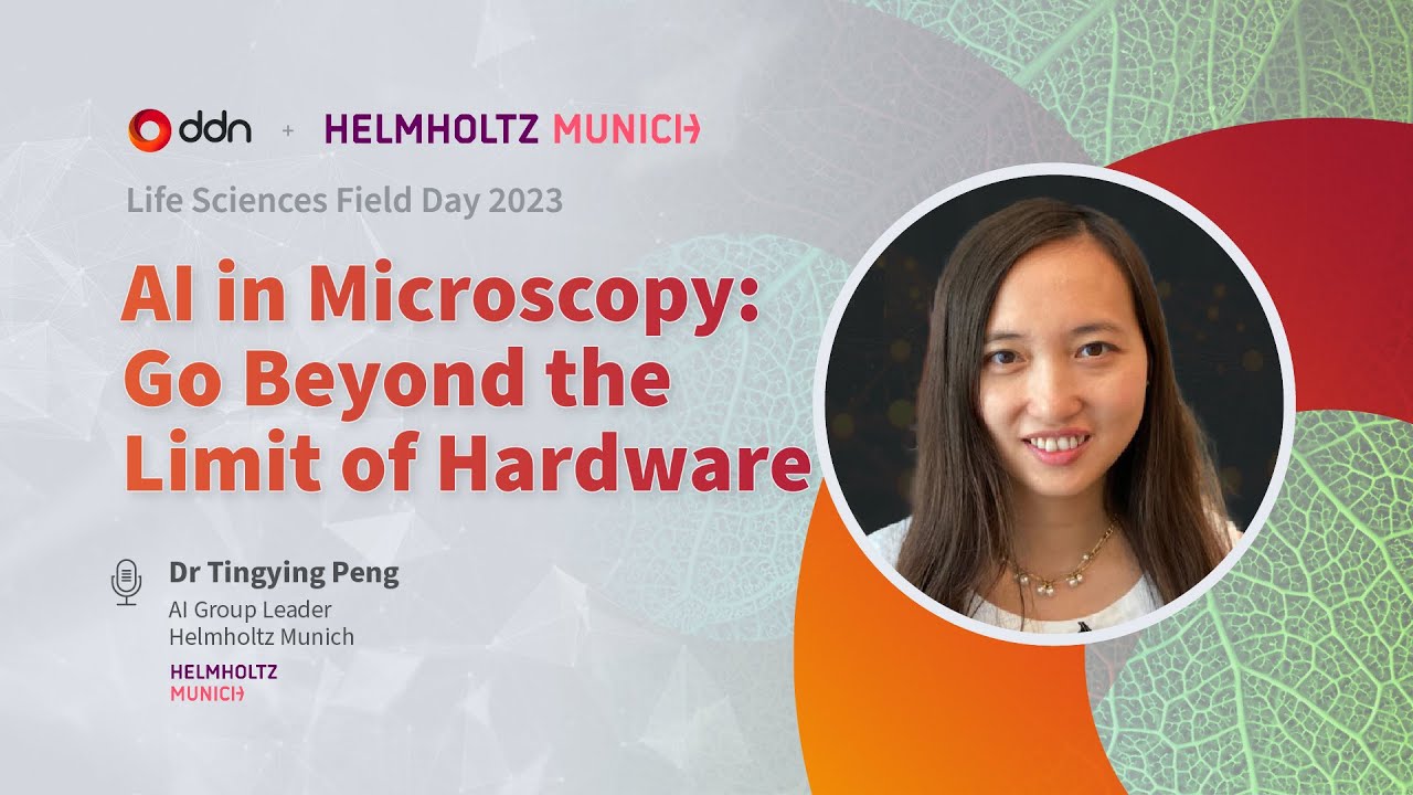 YouTube video preview