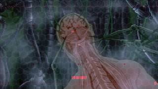 ANIMATRIX AMV (Bolt Thrower - PROFANE CREATION)