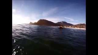 preview picture of video 'Swiming with the dolphins at Pringle Bay Beach'