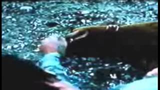 TESTAMENT  SITUATION VACANT