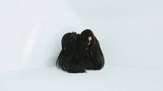 Chelsea Wolfe - Twin Fawn