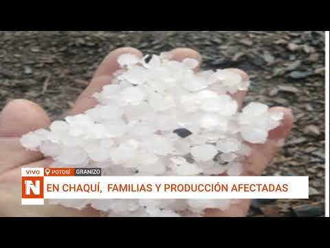 POTOSÍ: GRANIZADA DE MAGNITUD AFECTA A SIETE COMUNIDADES EN CHAQUÍ