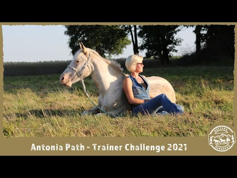 MUSTANG MAKEOVER 2021 - Antonia Path - Vorstellungsvideo