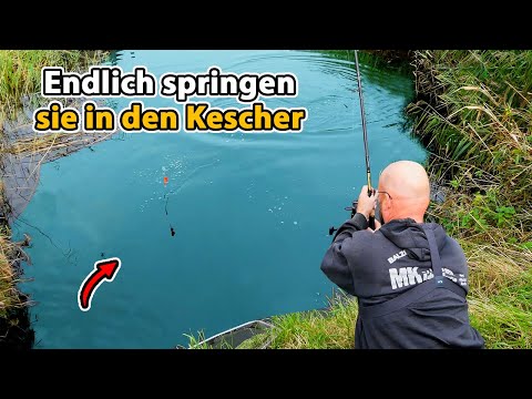 Matze Koch: Predator fishing with highs and lows!