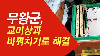 무왕군이 발생하여 교미상과 바꿔치기로 해결