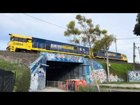 Pacific National NR54 NR35 light engines Tottenham