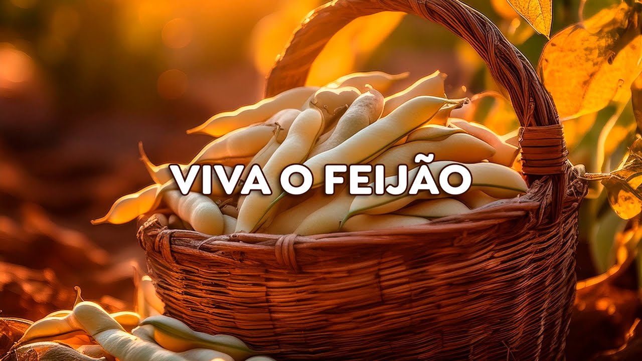 O que esperar para o feijão em maio? Safra do Paraná deve ser menor que a esperada.