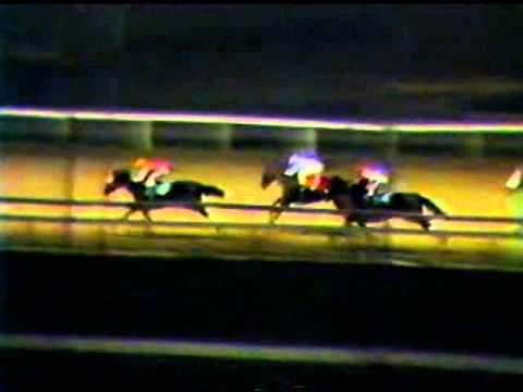Dancing Emerald wins at Greenwood. November 17, 1983