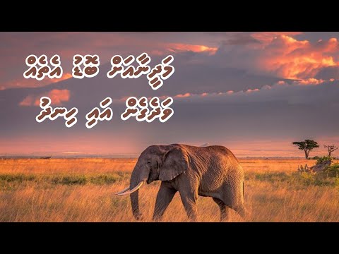 Vaaahaka: Madhina ah Bodu Etheh Vadhegen ai hindhu