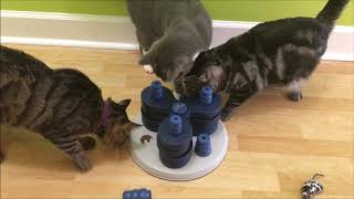 Flower Tower by Trixie Pet