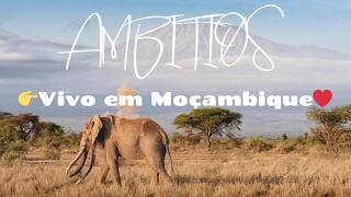 Download lagu 👉 NOVO HIT AFRO 🔥 AMBITIØS  |  DJ Ambicioso | Vivo em Moçambique  ft. Ivone & Luís ❤️ mp3