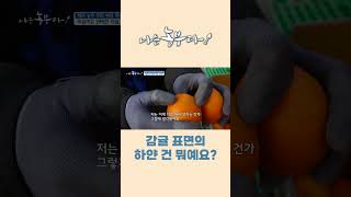 [나는농부다 234회] 감귤 표면의 하얀 것은?