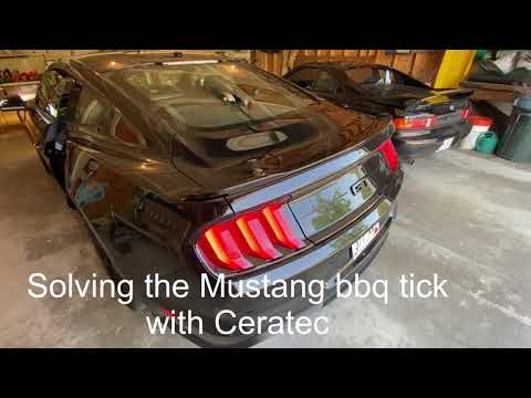 Mustang BBQ tick solved!  (Ceratec). No monologues!