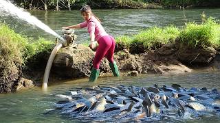 How To Catch Fish In The Wild | Catching Many Big Fish Using Diesel Engine Water Pump In Wild Lake