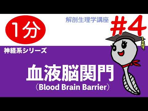 Nuvola アプリの教育言語.svg