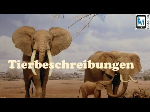 Tierbeschreibungen