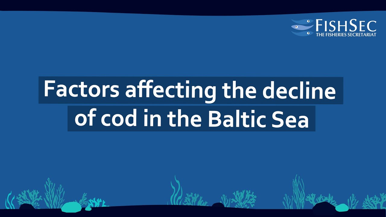 Factors affecting Baltic Sea cod