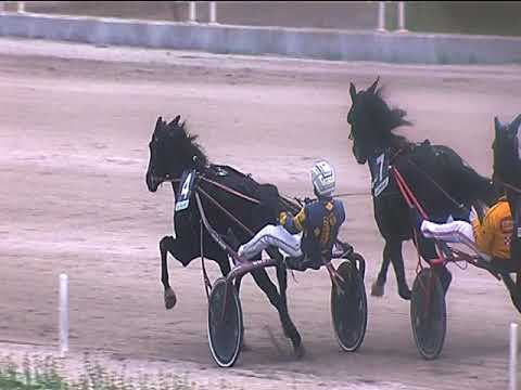 Trotto 04/11/2018 - 1ª corsa